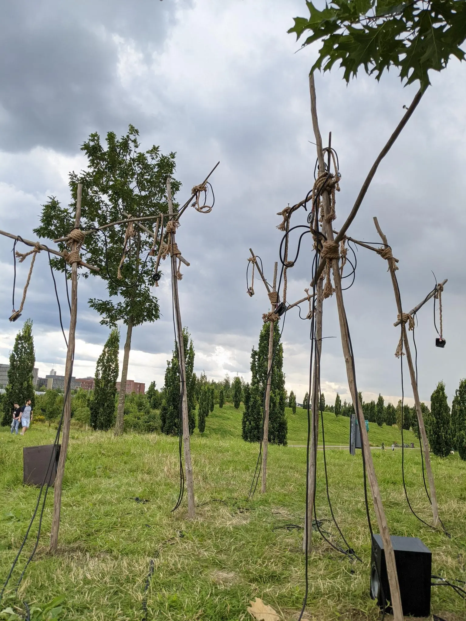 thanatos trees for tim pauli